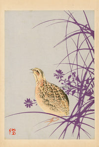 Tansai Gafu Design Book Quail on Leaves - Panteek Antique Prints