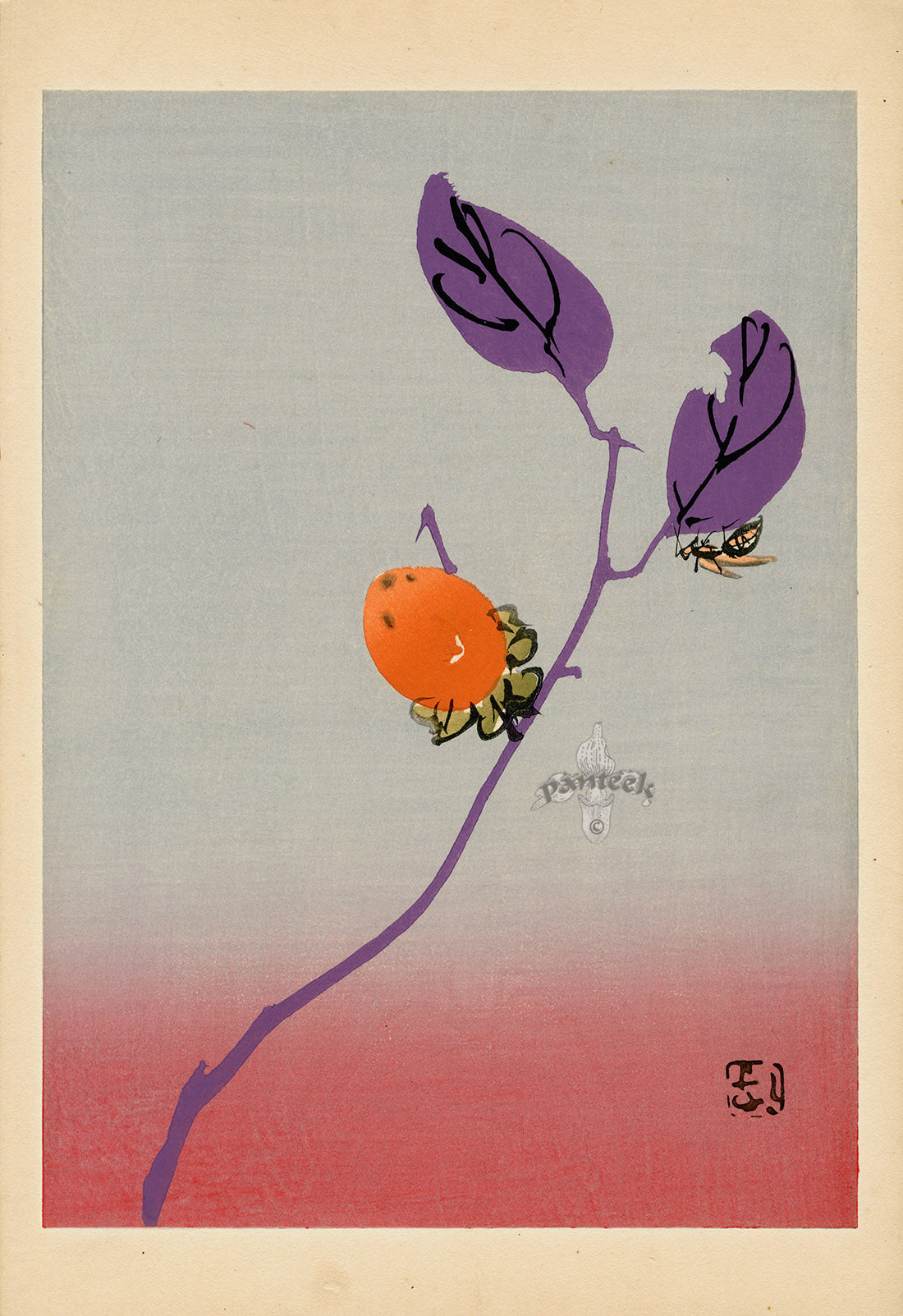 Tansai Gafu Design Book Wasp, Persimmon