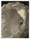 Tom Baril Flower Prints from Botanica Hibiscus Bud - Panteek Antique Prints