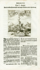 Valentini & Merian Original Prints 1719 Acetosa Lanceolata Herb - Panteek Antique Prints