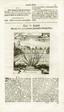 Valentini & Merian Original Prints 1719 Aloe Plant - Panteek Antique Prints