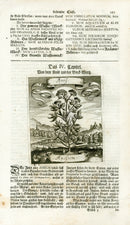 Valentini & Merian Original Prints 1719 Anisum Herb - Panteek Antique Prints