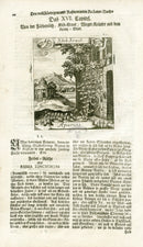 Valentini & Merian Original Prints 1719 Aparine Herb - Panteek Antique Prints