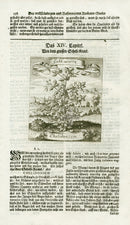 Valentini & Merian Original Prints 1719 Chelidonium Herb B&W - Panteek Antique Prints