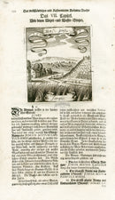 Valentini & Merian Original Prints 1719 Junpus Herb - Panteek Antique Prints