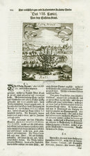 Valentini & Merian Original Prints 1719 Kali Herb - Panteek Antique Prints