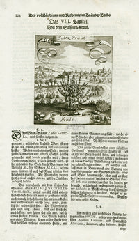 Valentini & Merian Original Prints 1719 Kali Herb - Panteek Antique Prints