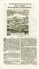 Valentini & Merian Original Prints 1719 Marrubium album Herb - Panteek Antique Prints