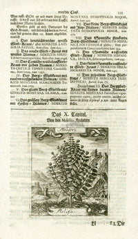 Valentini & Merian Original Prints 1719 Melissa Herb - Panteek Antique Prints