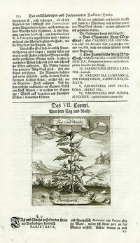 Valentini & Merian Original Prints 1719 Parietaria Plant - Panteek Antique Prints