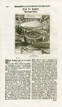 Valentini & Merian Original Prints 1719 Rapa Plant - Panteek Antique Prints