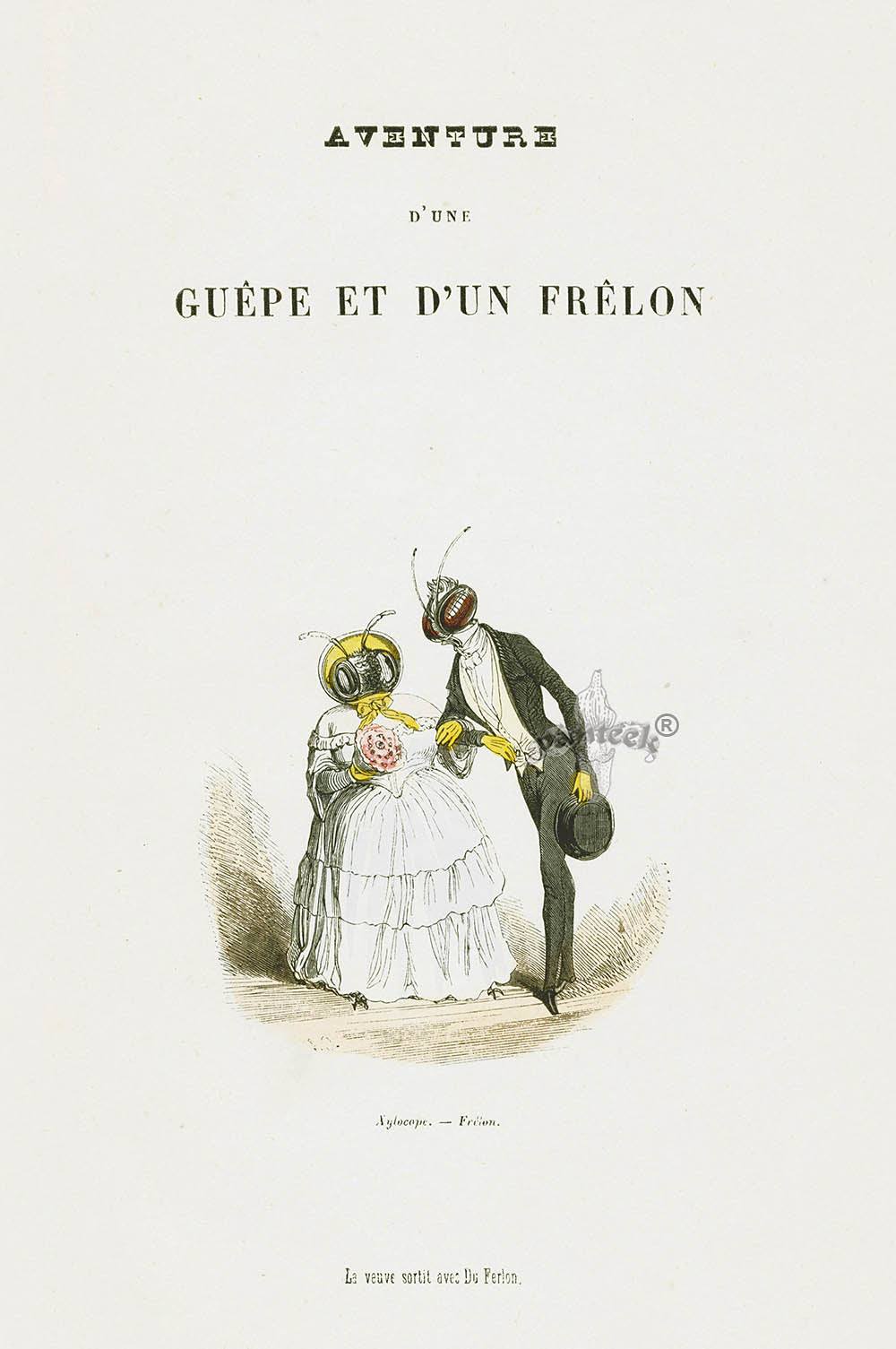 Varin Butterfly People 1852 Adventures of Wasp & Hornet