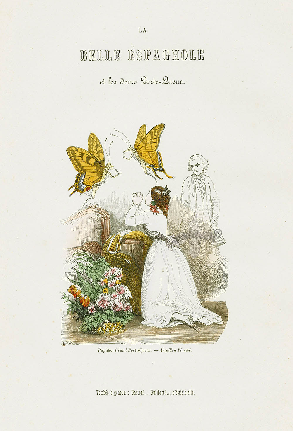 Varin Butterfly People 1852 Beautiful Spaniard