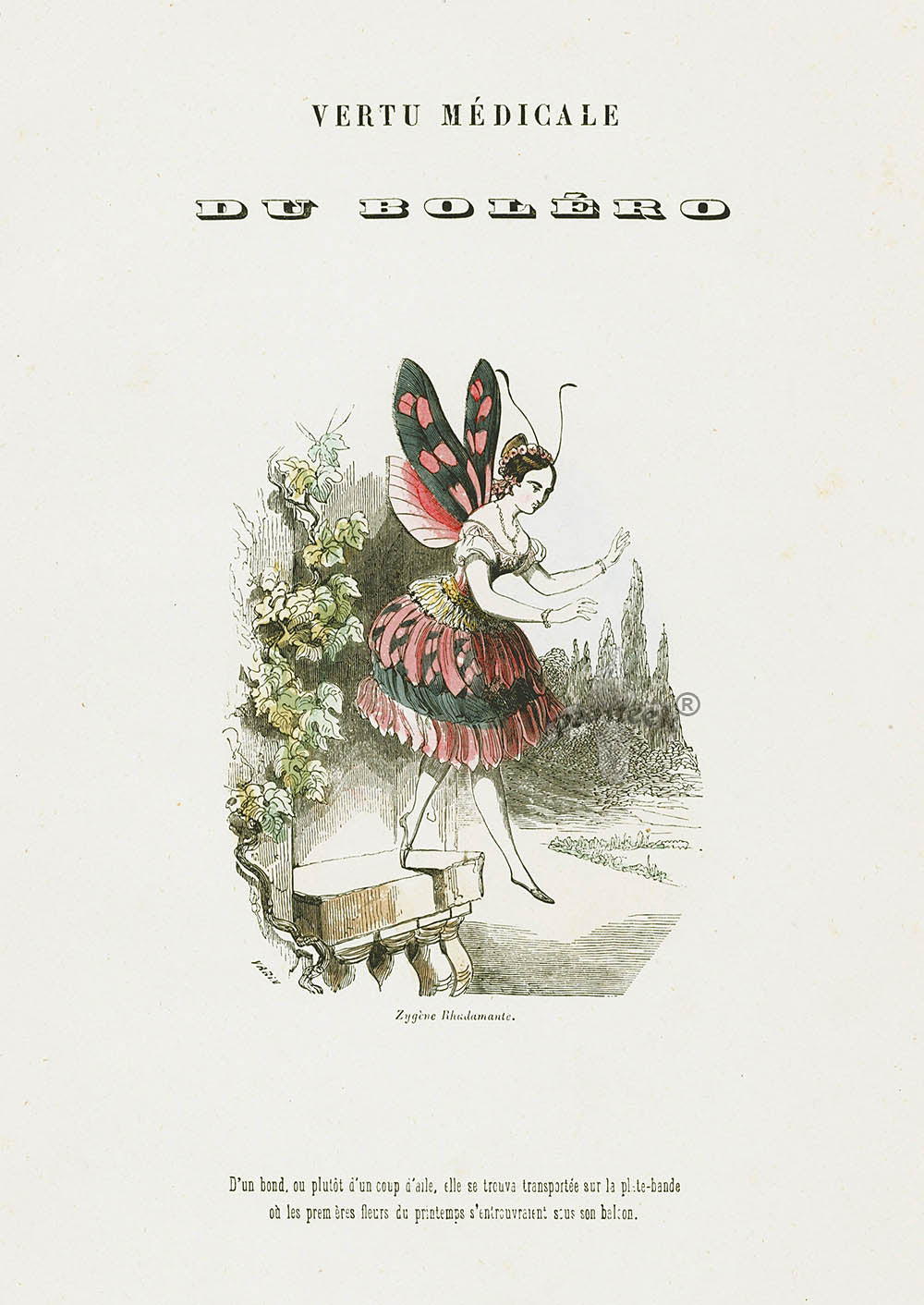 Varin Butterfly People 1852 Bolero