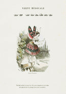 Varin Butterfly People 1852 Bolero - Panteek Antique Prints