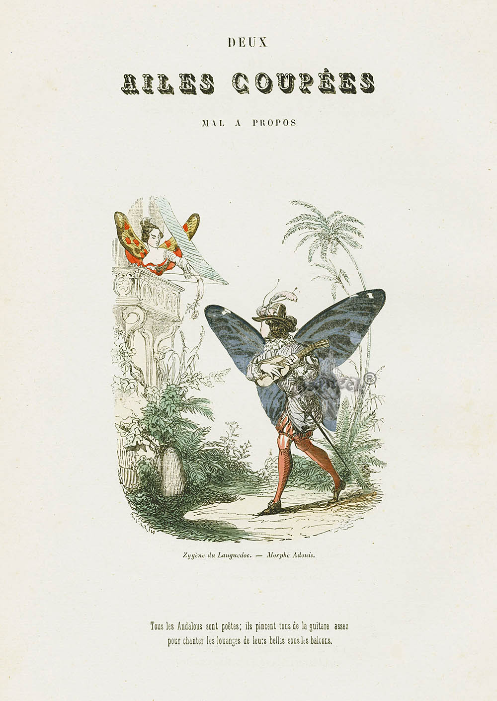 Varin Butterfly People 1852 Clipped Wings