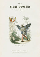 Varin Butterfly People 1852 Clipped Wings - Panteek Antique Prints