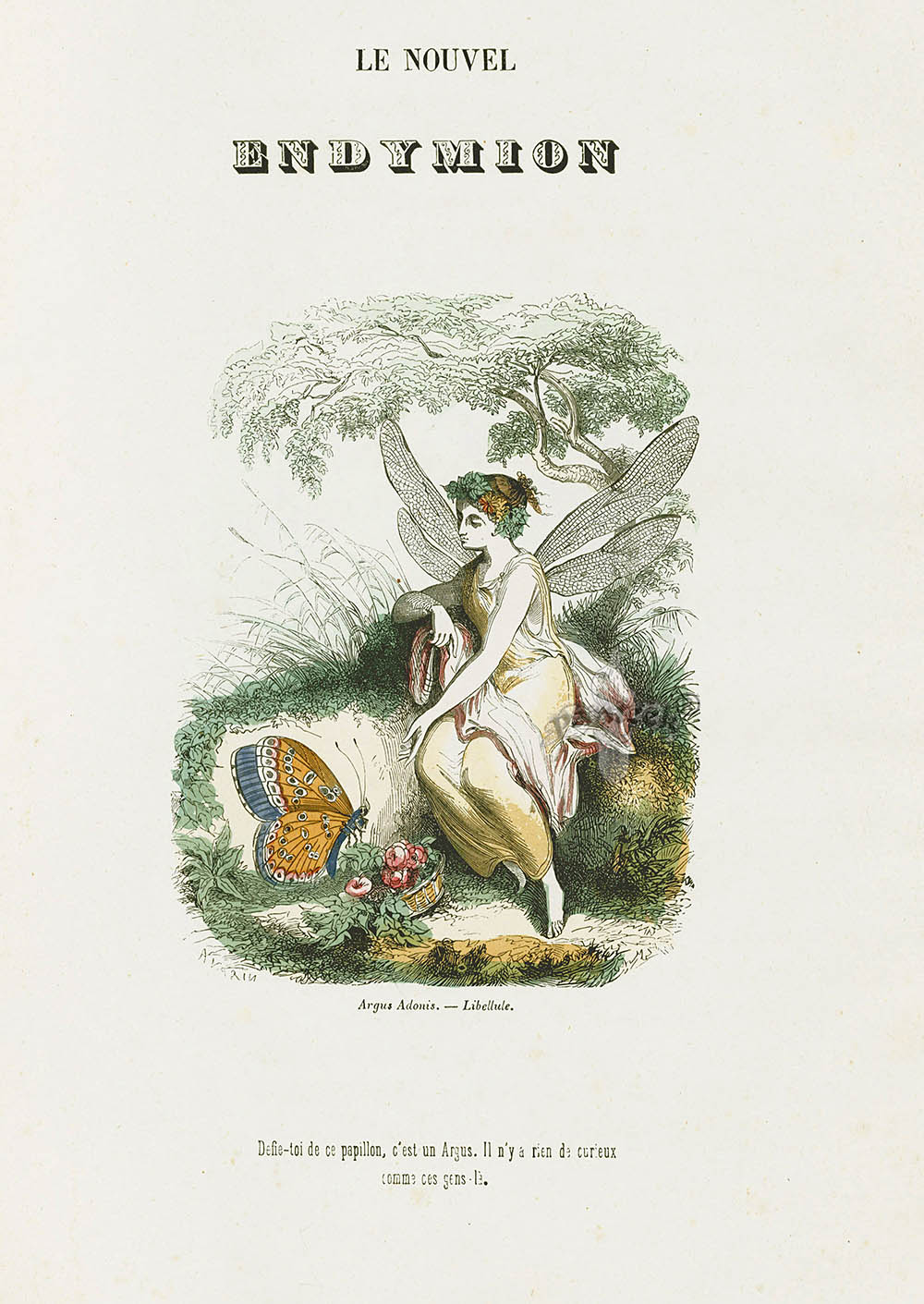 Varin Butterfly People 1852 Endymion