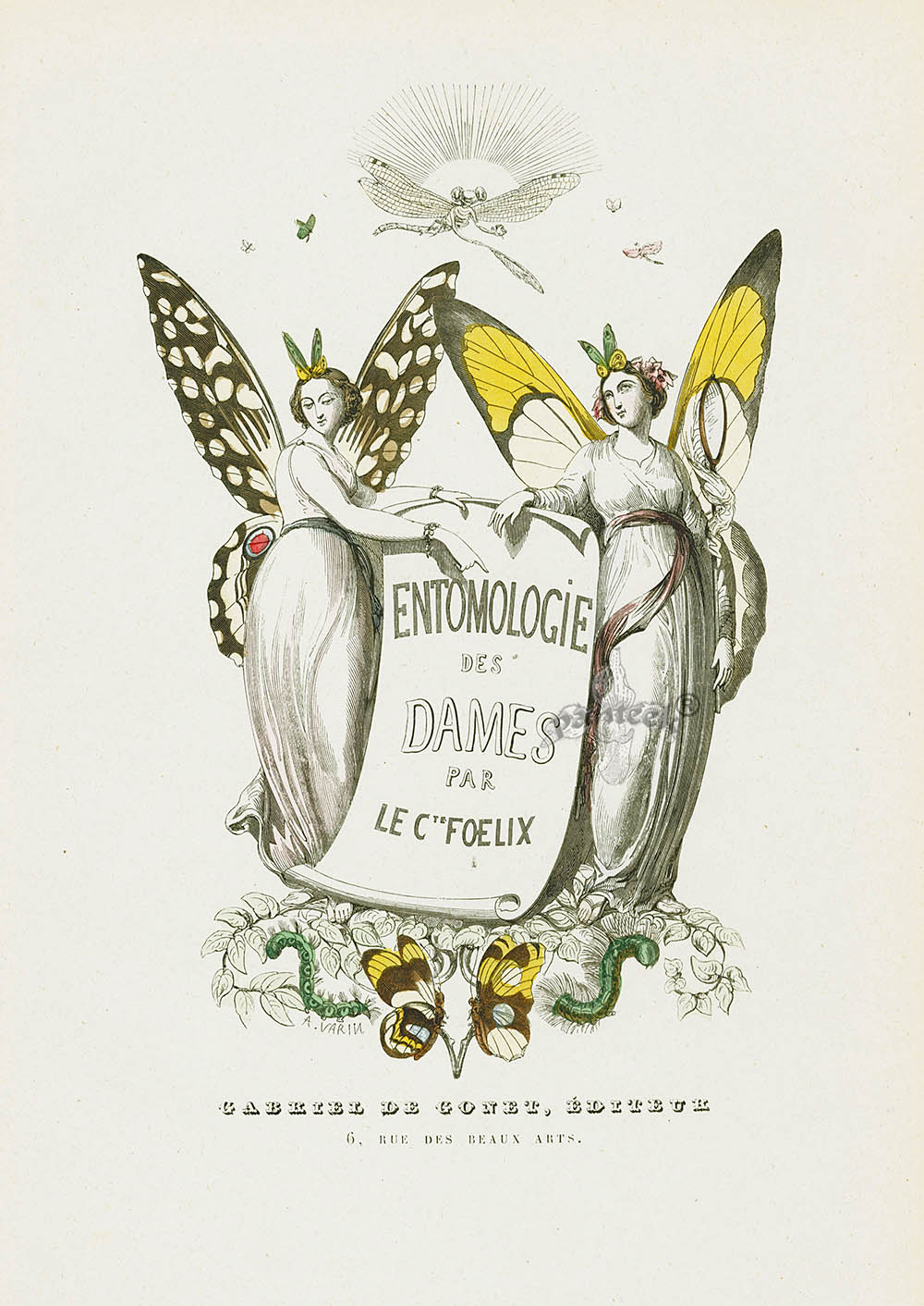 Varin Butterfly People 1852 Ladies Entomology