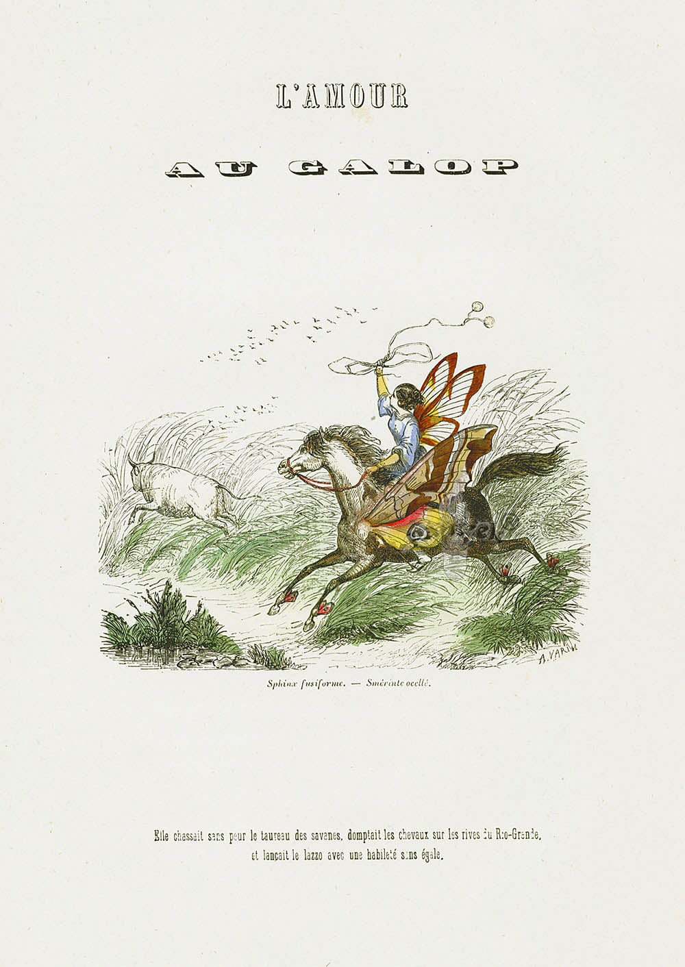 Varin Butterfly People 1852 Love at a Gallop