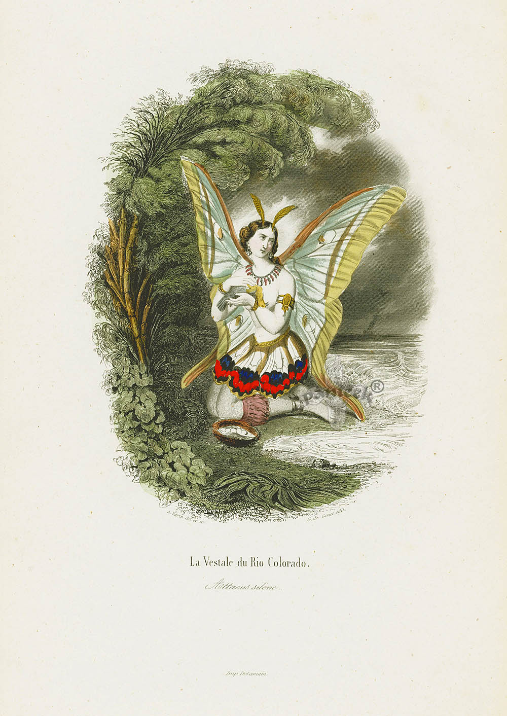 Varin Butterfly People 1852 Maiden of the Colorado River