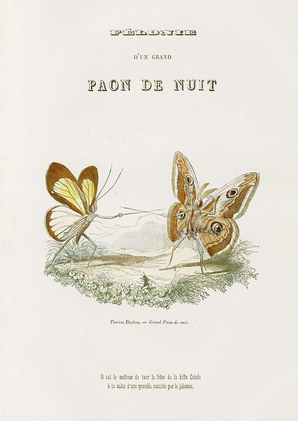 Varin Butterfly People 1852 Peacock of the Night