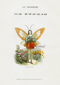 Varin Butterfly People 1852 Triumph of Cypris - Panteek Antique Prints