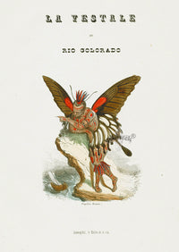 Varin Butterfly People 1852 Vestals of the Colorado River - Panteek Antique Prints