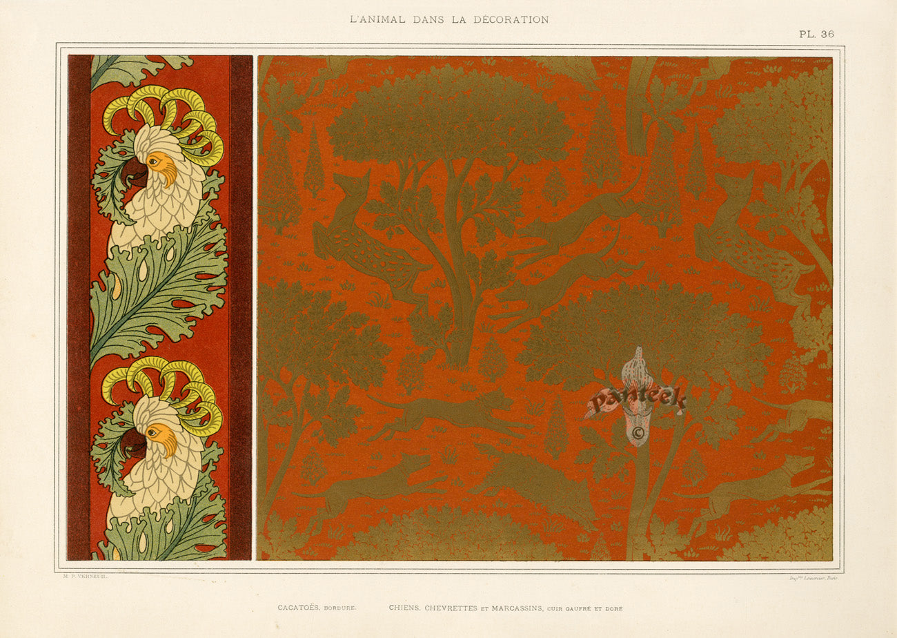 Verneuil & Grasset 1897 Cacatoes, Chiens