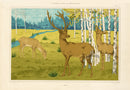 Verneuil & Grasset 1897 Cerfs - Panteek Antique Prints