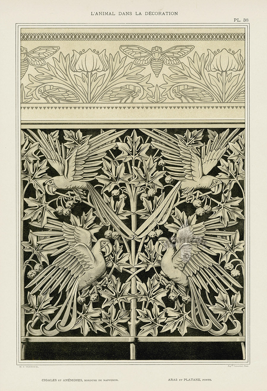 Verneuil & Grasset 1897 Cigales et Anemones