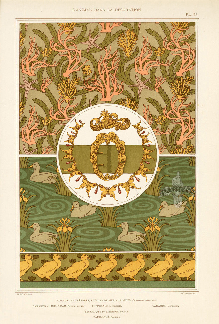 Verneuil & Grasset 1897 Coraux, Madrepores, Canards