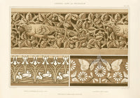 Verneuil & Grasset 1897 Pheasant, Papillons - Panteek Antique Prints