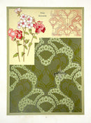 Weigner Nature Studies and Compositions 1905 Phlox - Panteek Antique Prints