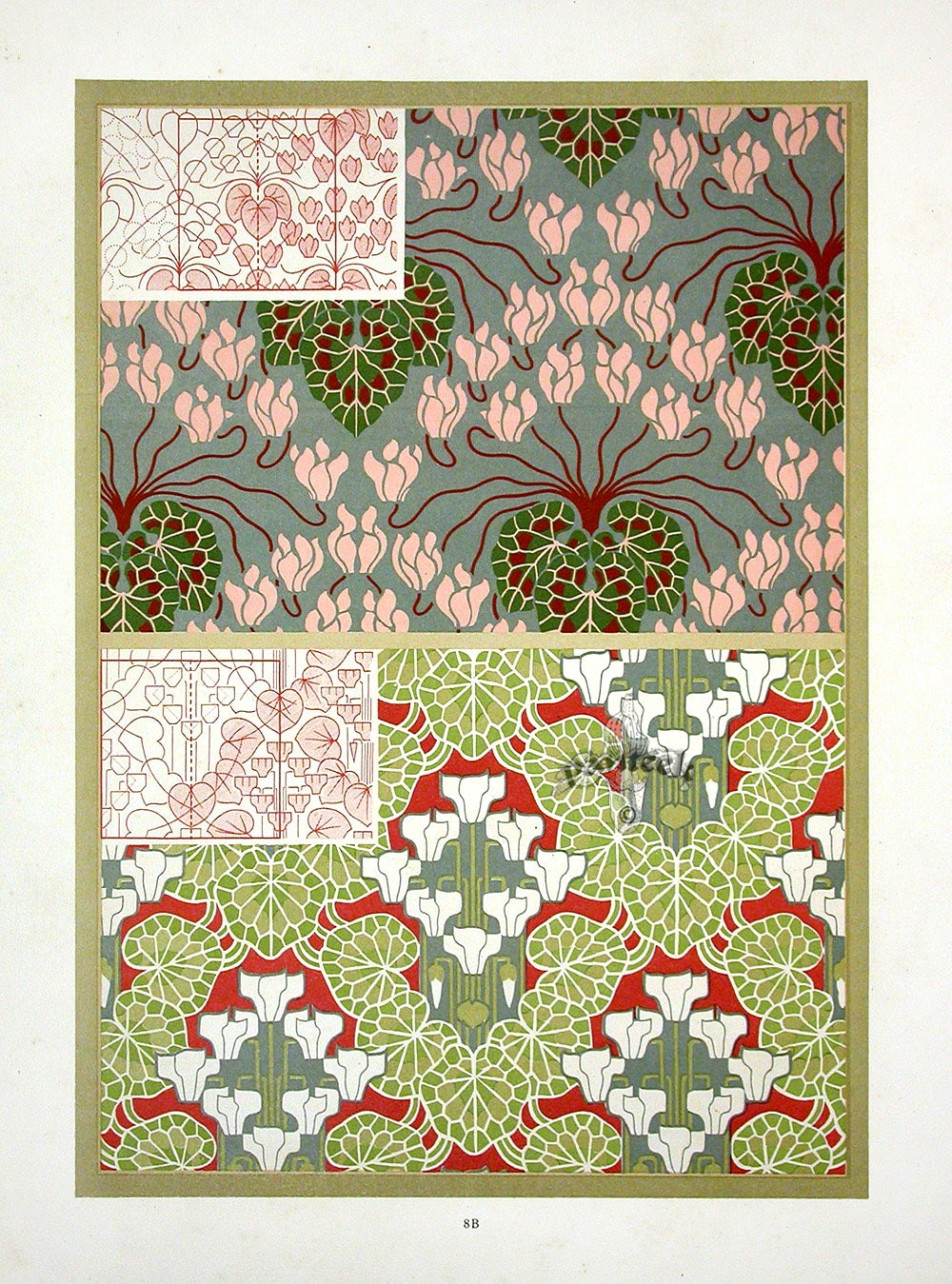 Weigner Nature Studies and Compositions 1905 Waterlily