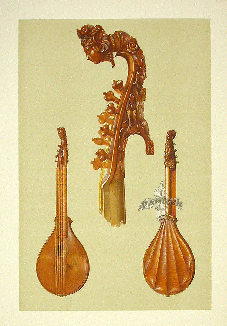 William Gibb Original Print Antique Musical Instrument Cetera Stradivarius