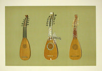 William Gibb Original Print Antique Musical Instrument Pandurina & Mandolines - Panteek Antique Prints