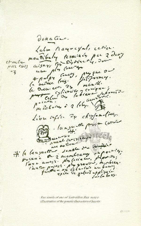 William Jardine Antique Steel Engraving Note by Latreilles