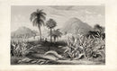 William Rhind Fruit & Vegetable Prints Cereal or Grain Plants - Panteek Antique Prints