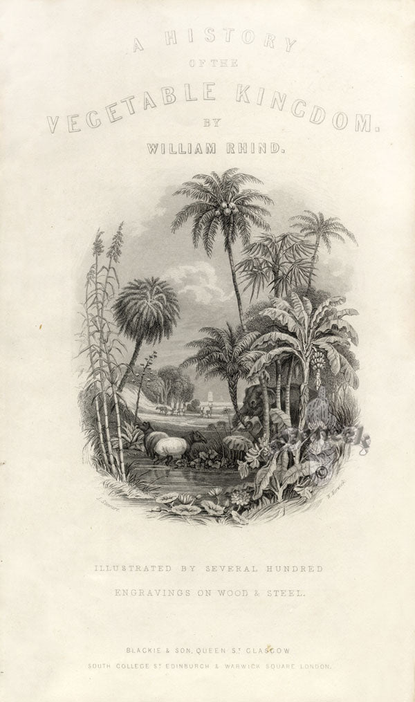 William Rhind Fruit & Vegetable Prints Title Page