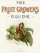 Wright Antique Fruit Print Cob-nuts, Filberts, Vol II Title Page - Panteek Antique Prints