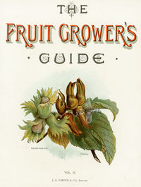 Wright Antique Fruit Print Cob-nuts, Filberts, Vol II Title Page - Panteek Antique Prints