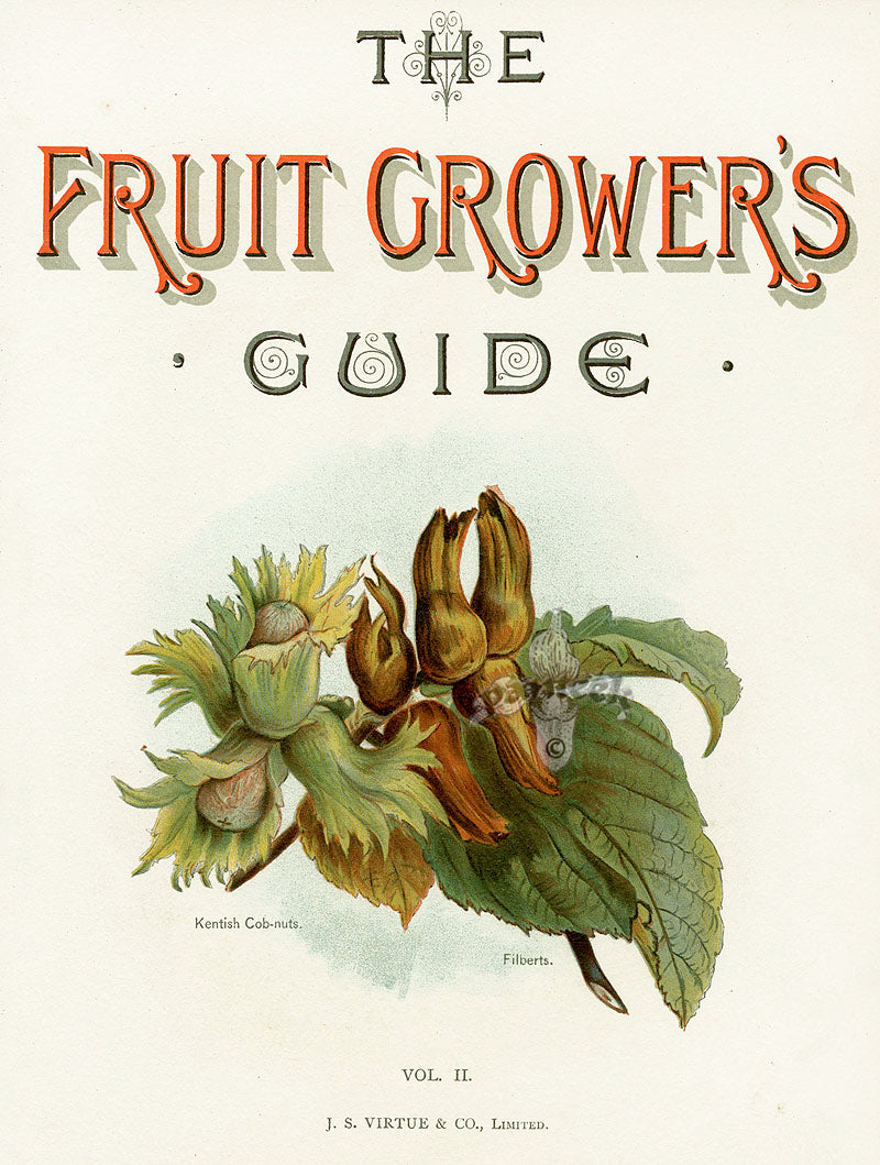 Wright Antique Fruit Print Cob-nuts, Filberts, Vol II Title Page