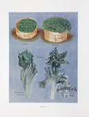 Wright Antique Fruit Print Cress, Endive Salads - Panteek Antique Prints
