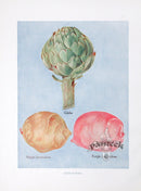 Wright Antique Fruit Print Globe Artichoke - Panteek Antique Prints
