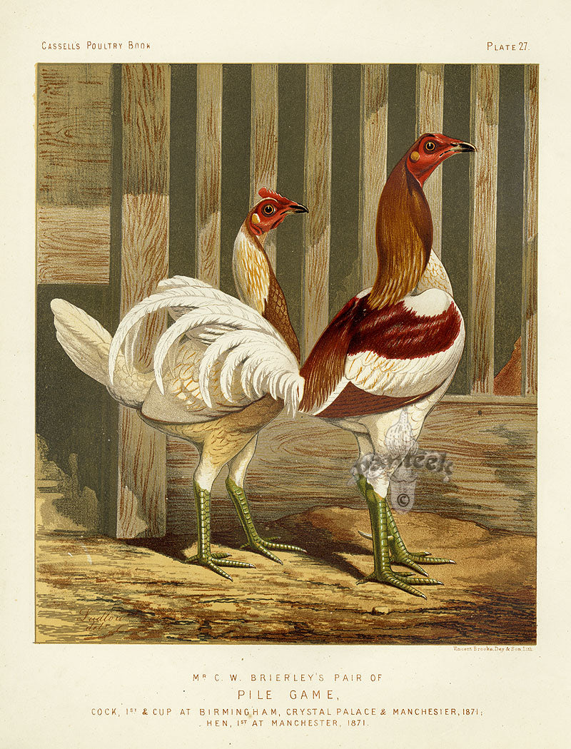 Wright Antique Poultry Prints Pile Game