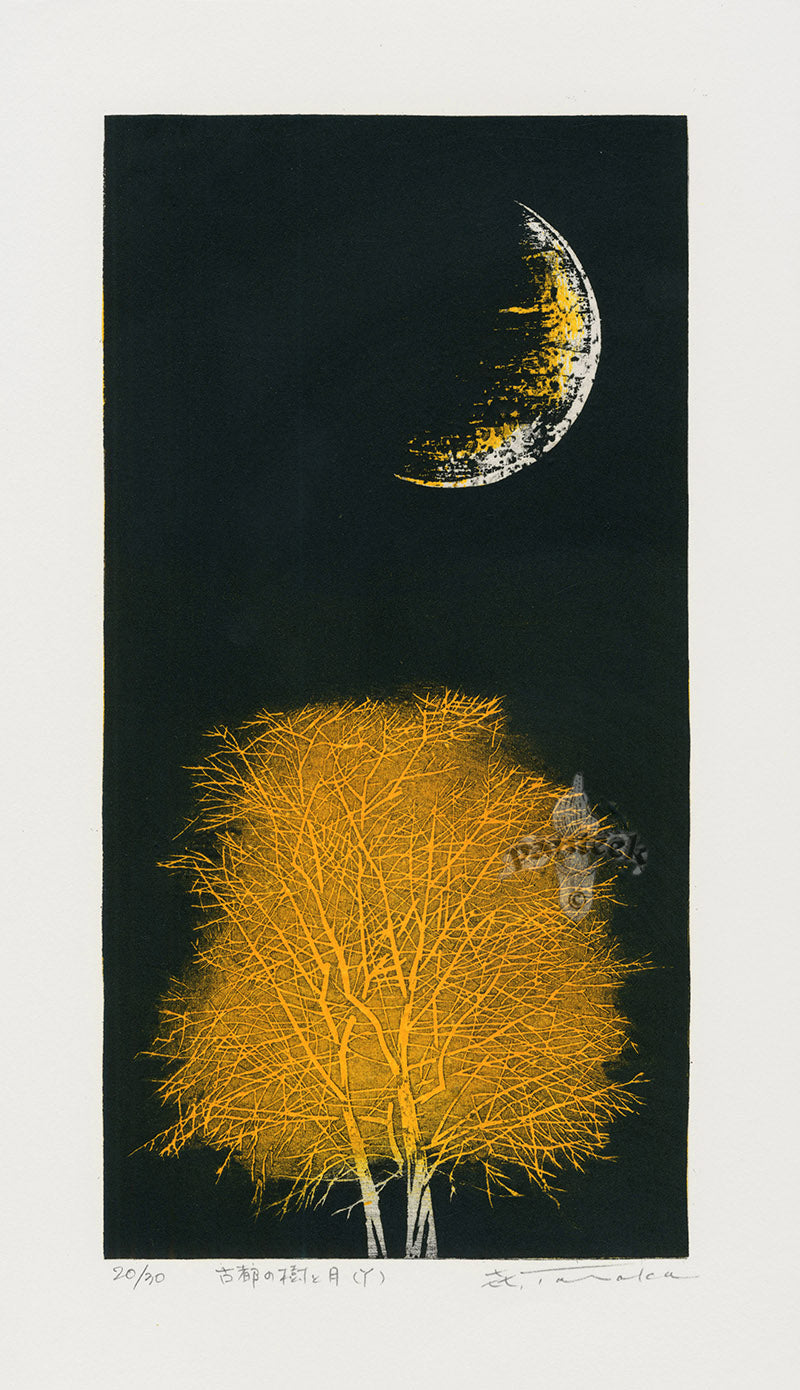 Yoshikazu Tanaka Crescent Moon, Orange Tree in Ancient City