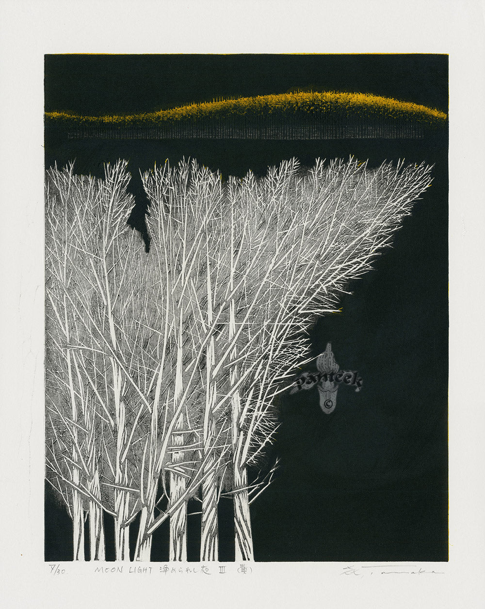 Yoshikazu Tanaka Moonlight Black & White Tree Scene