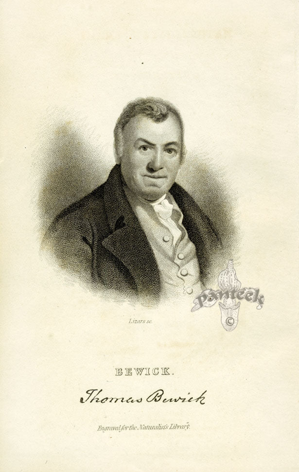 Edward Lear Parrot Prints 1842 Title Page Bewick