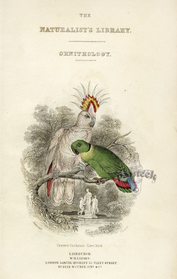Edward Lear Parrot Prints 1842 Title Page Birds